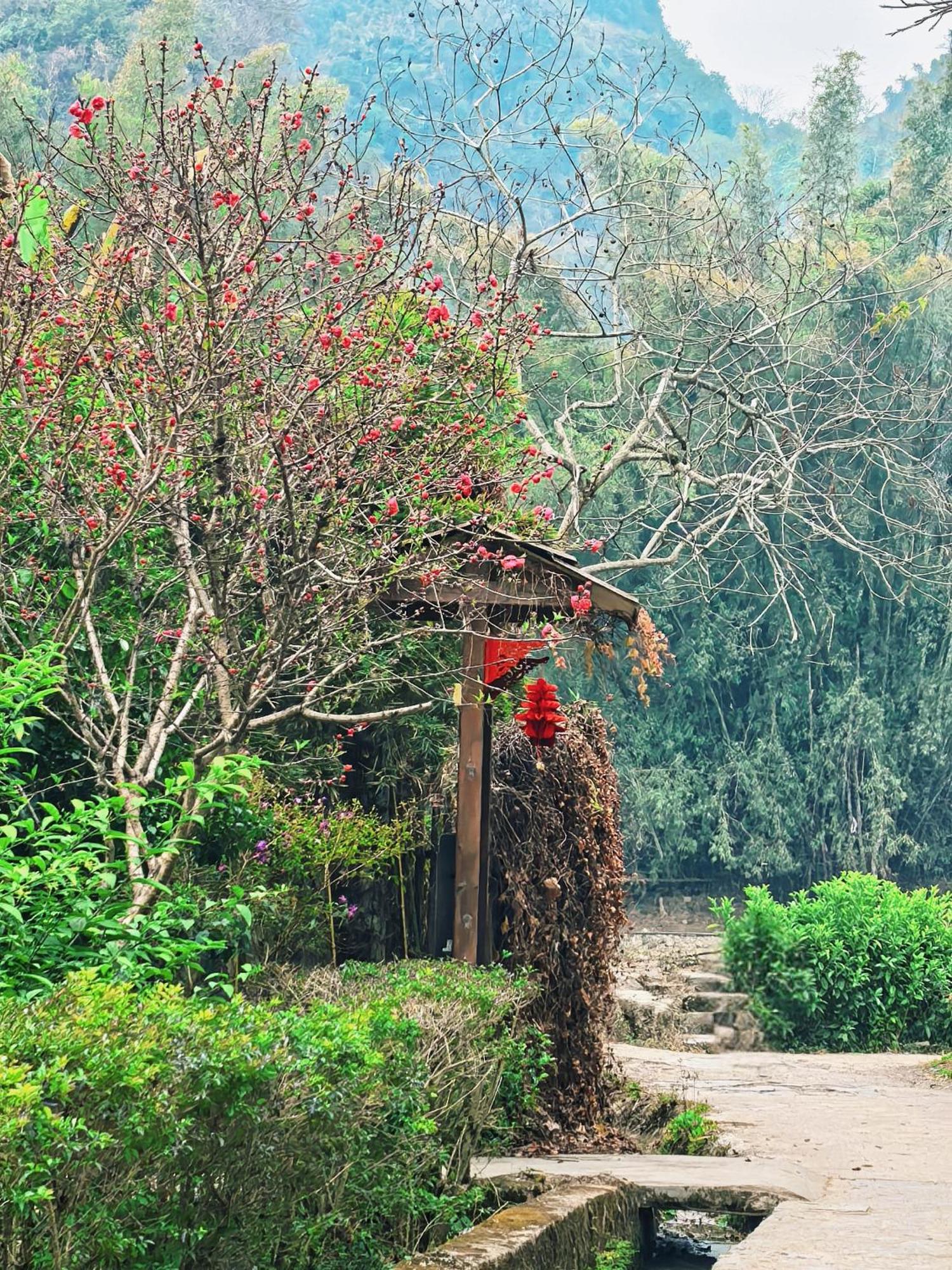 The Apsara Lodge Yangshuo Dış mekan fotoğraf